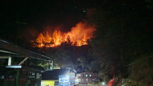 Kebakaran melanda kawasan hutan pinus di Bulu Salili, Kelurahan Malino, Kecamatan Tinggimoncong, Kabupaten Gowa, Rabu (19/8/2026) malam.