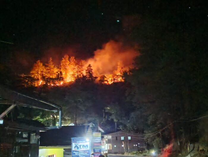 Kebakaran melanda kawasan hutan pinus di Bulu Salili, Kelurahan Malino, Kecamatan Tinggimoncong, Kabupaten Gowa, Rabu (19/8/2026) malam.