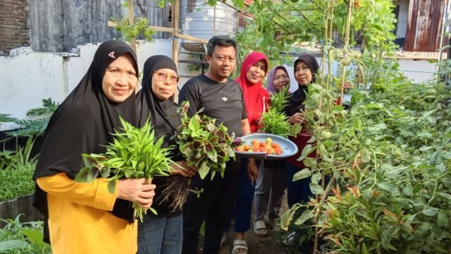 Lurah Karuwisi Hendra bersama jajaran saat memanen tomat dan bayam di kawasan Urban Farming Luxuriyan, Kecamatan Panakkukang, Makassar, Jumat (21/8/2026).