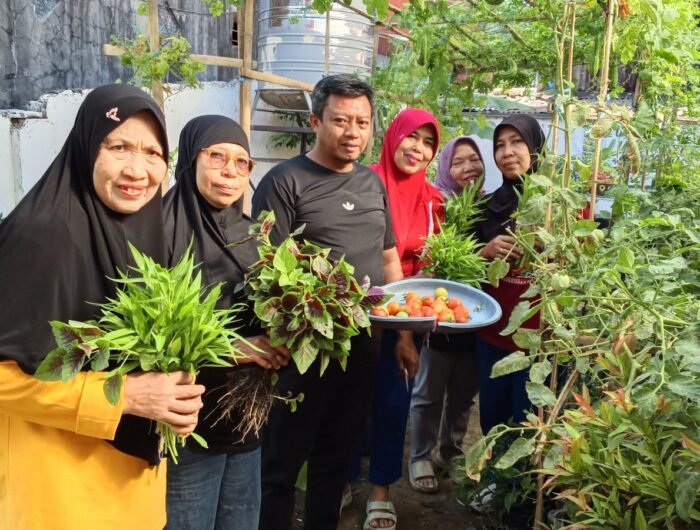 Lurah Karuwisi Hendra bersama jajaran saat memanen tomat dan bayam di kawasan Urban Farming Luxuriyan, Kecamatan Panakkukang, Makassar, Jumat (21/8/2026).