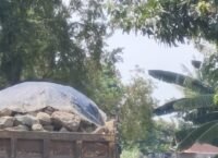 Aktivitas pemuatan dan pengangkutan material yang diduga batu gajah dari wilayah Lamogo, Desa Pattojo, Kecamatan Lilirilaja, Kabupaten Soppeng menuai sorotan warga.