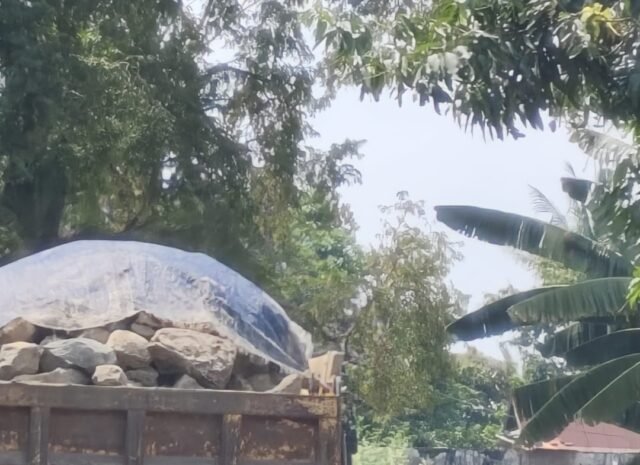 Aktivitas pemuatan dan pengangkutan material yang diduga batu gajah dari wilayah Lamogo, Desa Pattojo, Kecamatan Lilirilaja, Kabupaten Soppeng menuai sorotan warga.