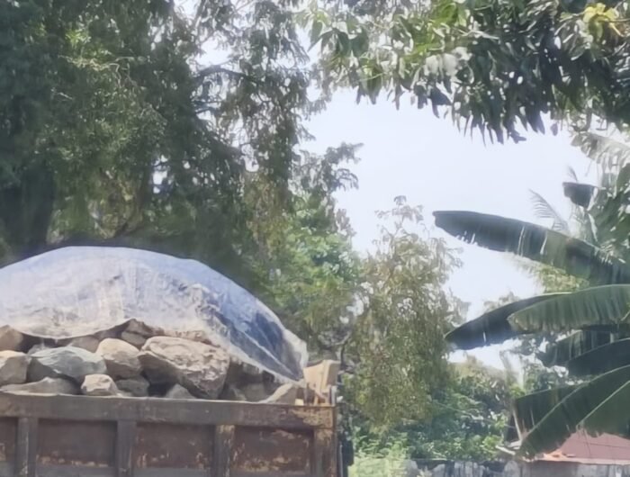 Aktivitas pemuatan dan pengangkutan material yang diduga batu gajah dari wilayah Lamogo, Desa Pattojo, Kecamatan Lilirilaja, Kabupaten Soppeng menuai sorotan warga.