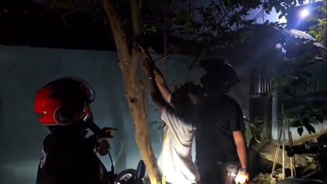 Tim Kera Putih Satresnarkoba Polres Maros, meringkus seorang pria berinisial F (26) yang diduga terlibat dalam peredaran narkotika jenis sabu di Kabupaten Maros, Sulawesi Selatan.
