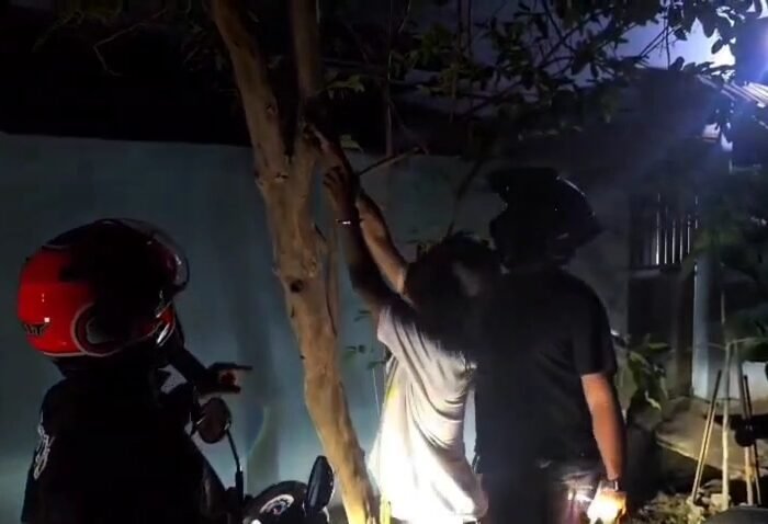 Tim Kera Putih Satresnarkoba Polres Maros, meringkus seorang pria berinisial F (26) yang diduga terlibat dalam peredaran narkotika jenis sabu di Kabupaten Maros, Sulawesi Selatan.